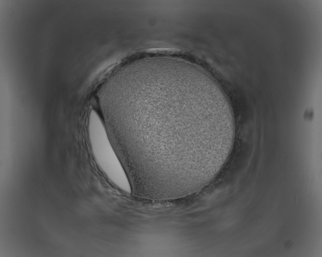 X0000092281351200710121355