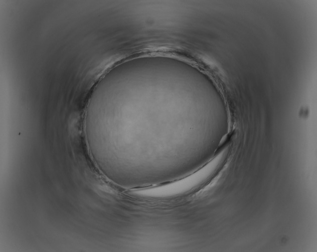X0000092281353200710121355