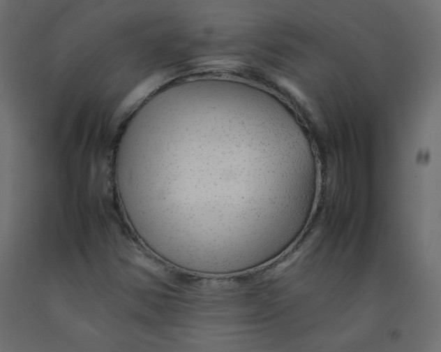 X0000092281354200710121355