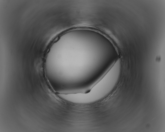 X0000092281356200710121355