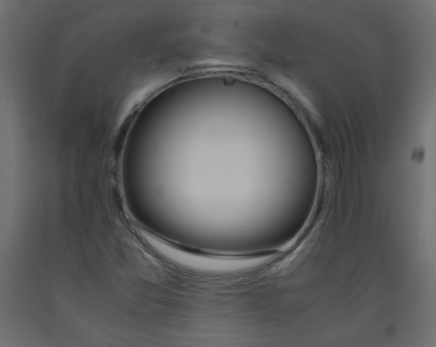 X0000092281357200710121355