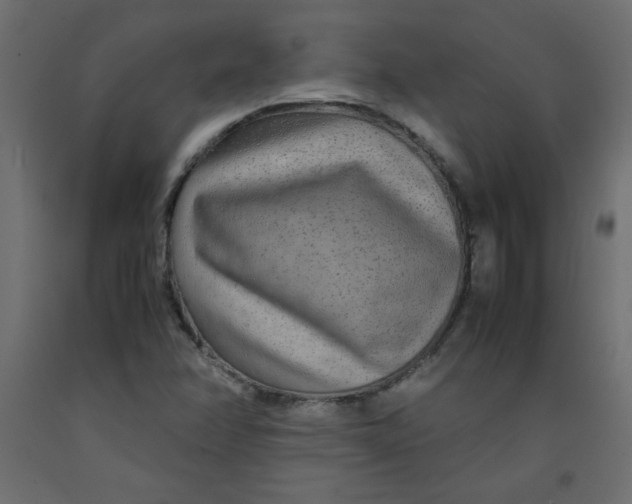 X0000092281358200710121355