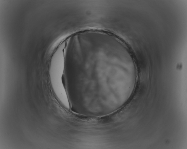 X0000092281359200710121355