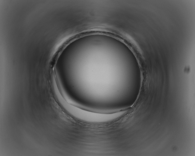 X0000092281360200710121355