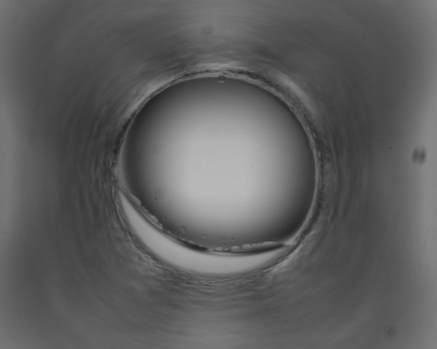X0000092281361200710121355
