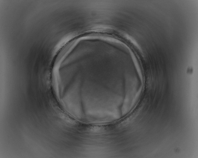 X0000092281362200710121355