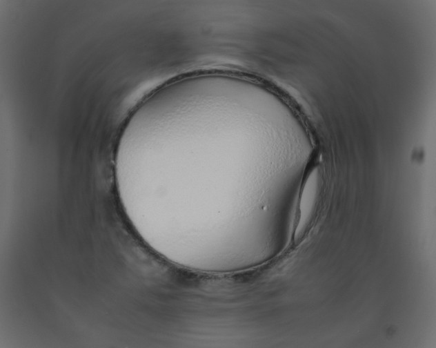X0000092281363200710121355