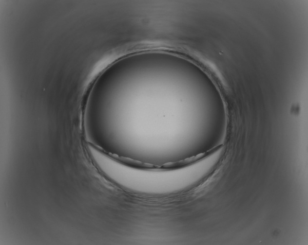 X0000092281365200710121355