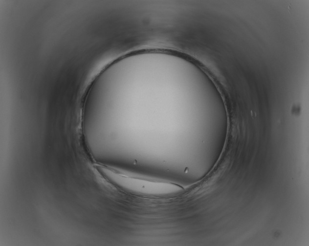X0000092281366200710121355