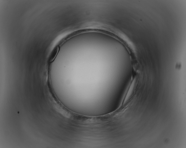 X0000092281368200710121355