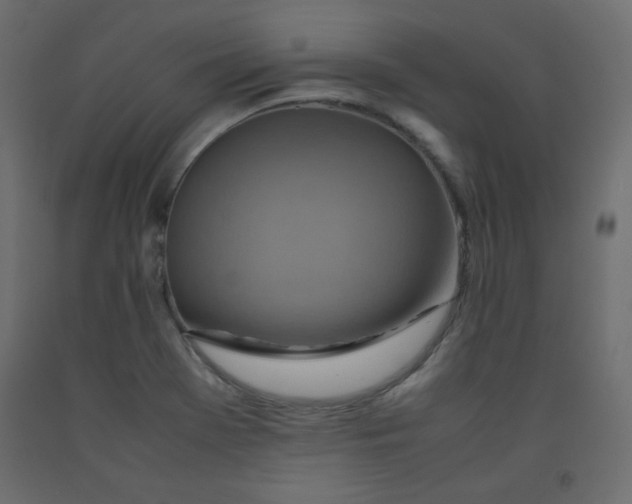 X0000092281369200710121355