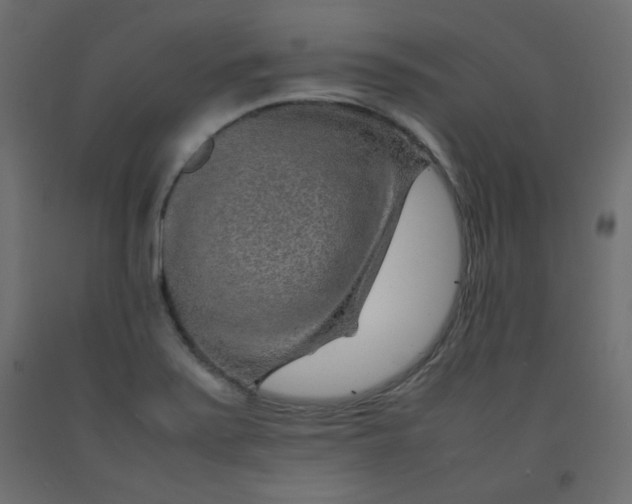 X0000092281371200710121355