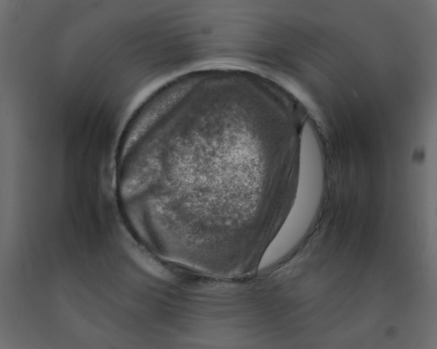 X0000092281372200710121355