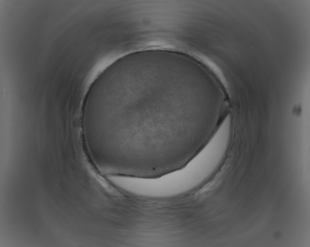 X0000092281373200710121355