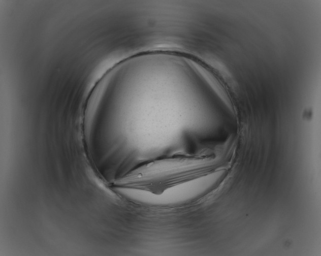 X0000092281374200710121355