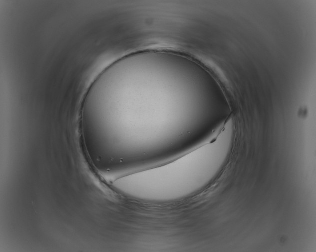 X0000092281375200710121355