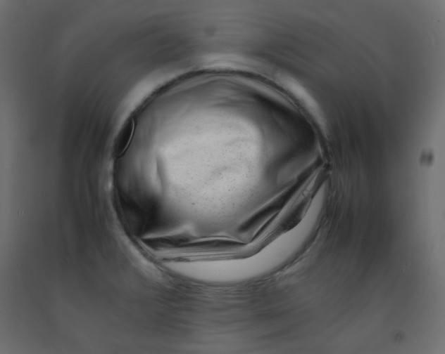 X0000092281376200710121355