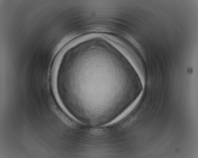X0000092281378200710121355
