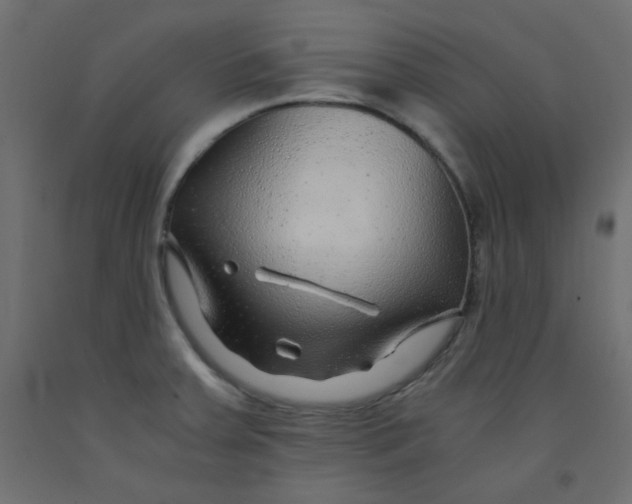 X0000092281379200710121355