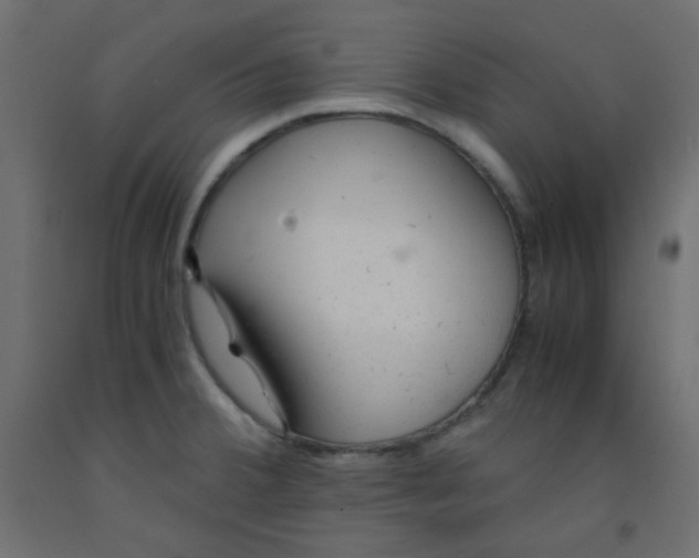 X0000092281380200710121355
