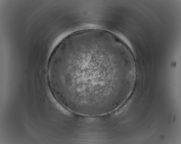 X0000092281381200710121355