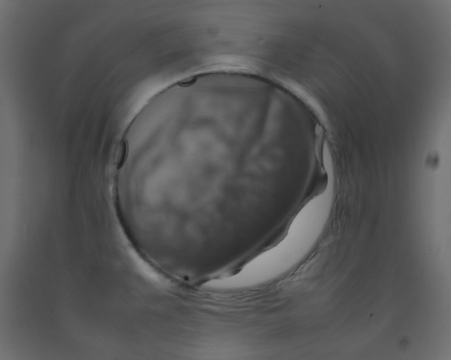 X0000092281383200710121355