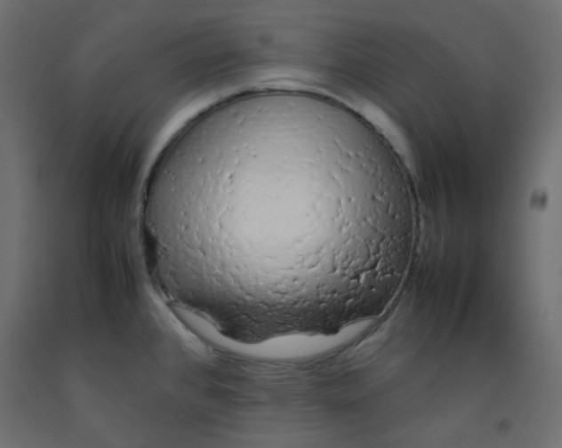 X0000092281384200710121355