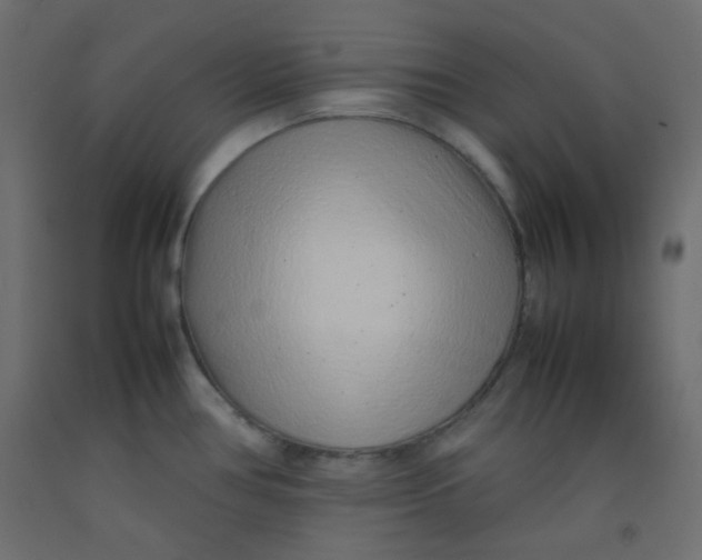 X0000092281386200710121355