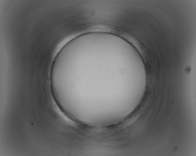 X0000092281387200710121355