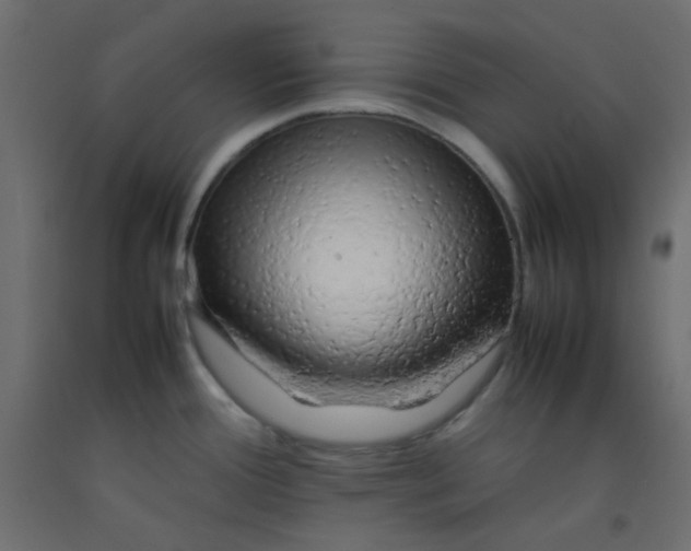 X0000092281388200710121355