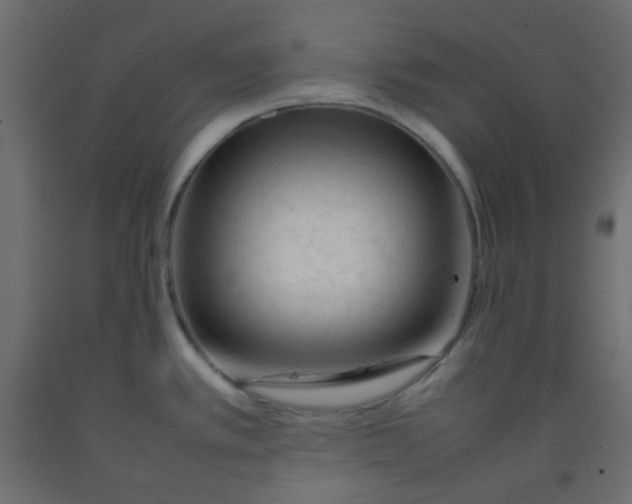 X0000092281389200710121355