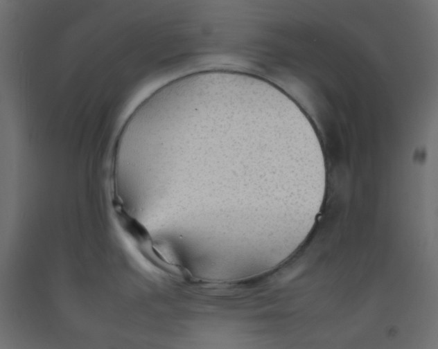 X0000092281391200710121355