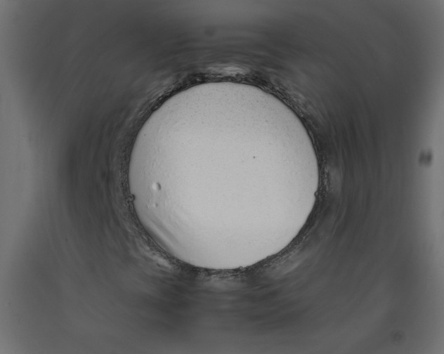 X0000092281393200710121354