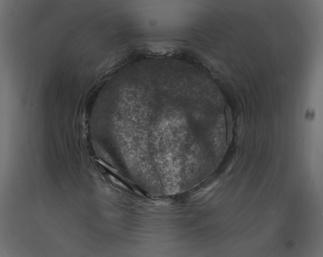 X0000092281394200710121354