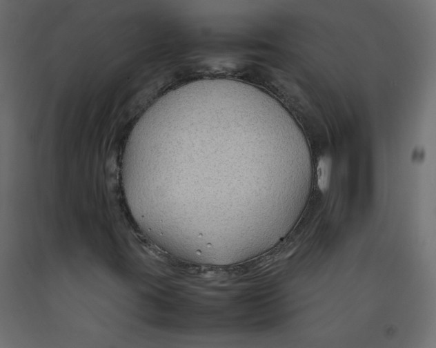 X0000092281395200710121354