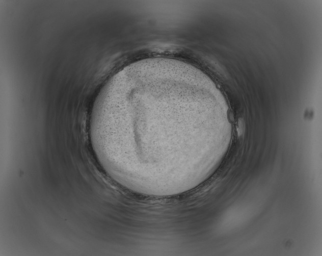 X0000092281396200710121354