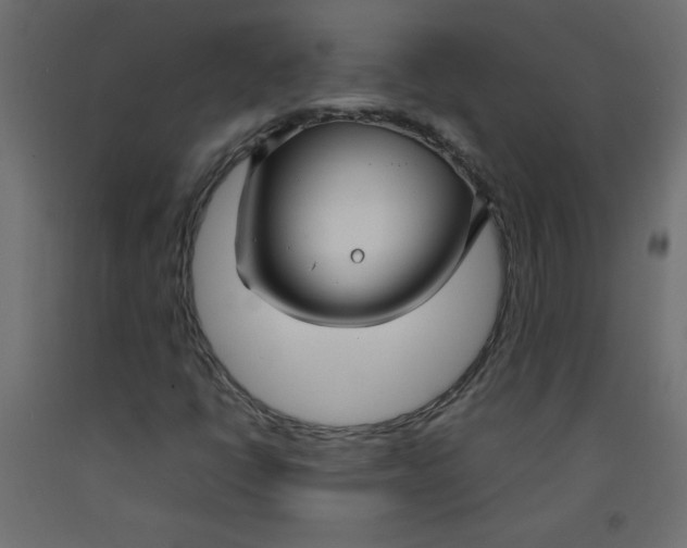 X0000092281398200710121354