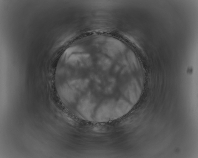 X0000092281399200710121354