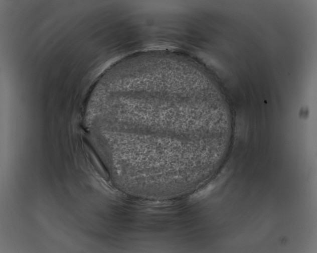 X0000092281401200710121354
