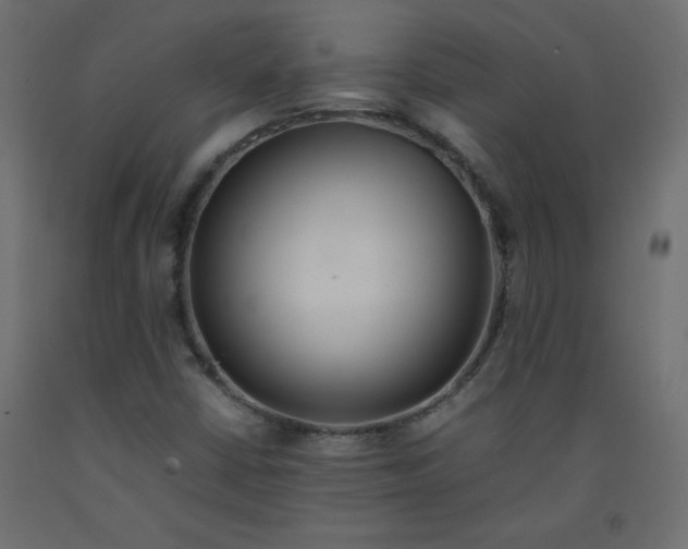 X0000092281402200710121354