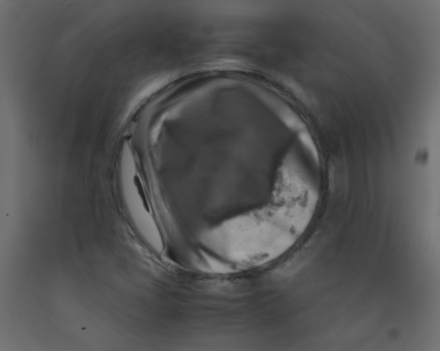 X0000092281405200710121354