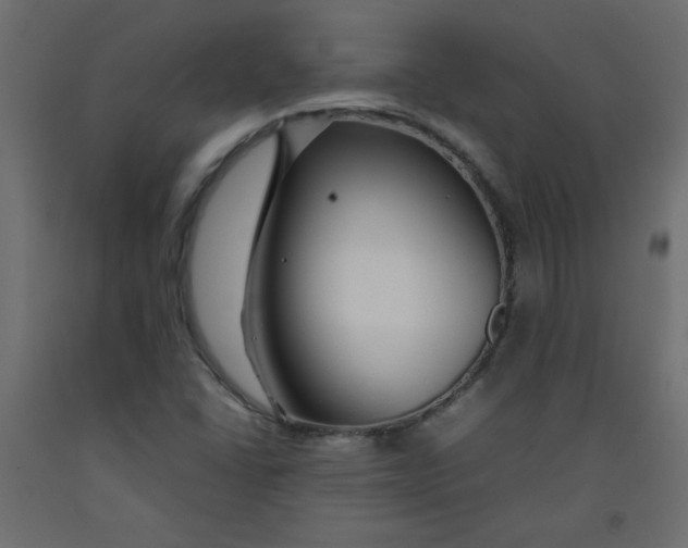 X0000092281406200710121354