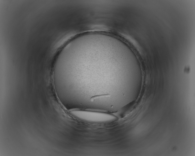 X0000092281407200710121355