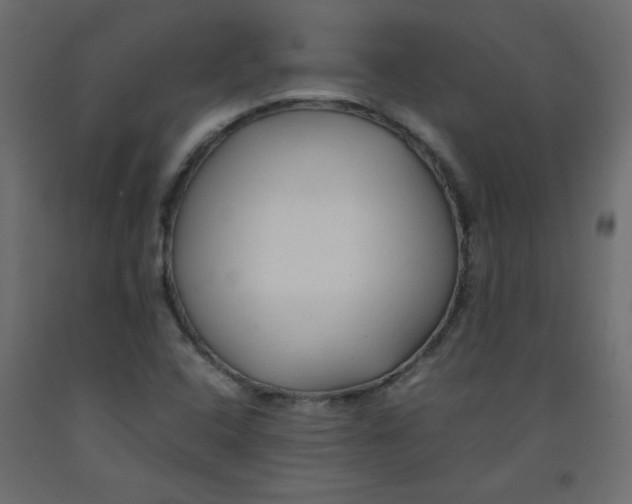 X0000092281408200710121355