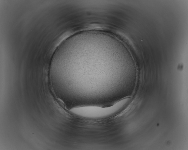 X0000092281409200710121355