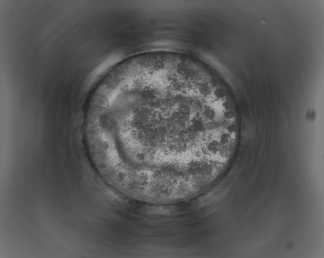 X0000092281411200710121355