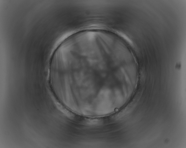 X0000092281413200710121355