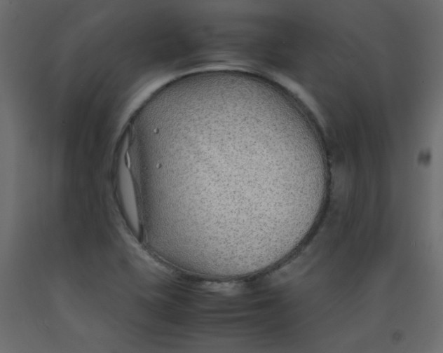 X0000092281415200710121355