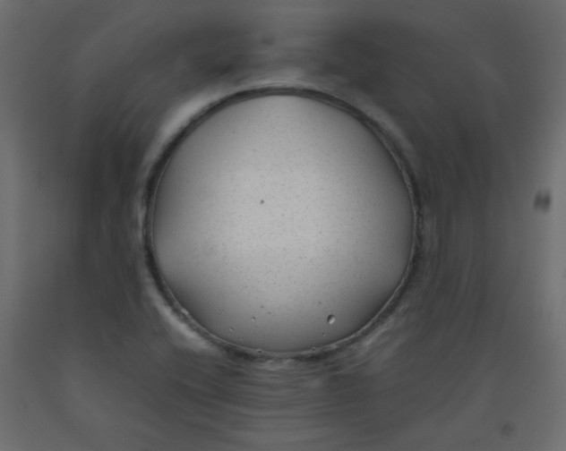 X0000092281416200710121355