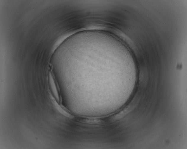 X0000092281417200710121355